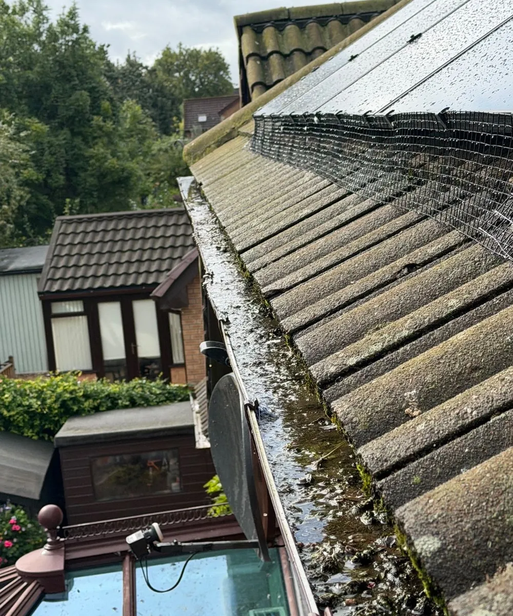 Gutter run packed with moss and debris before clearing